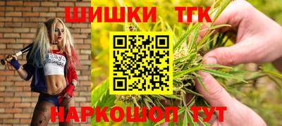 круглые Кингисепп