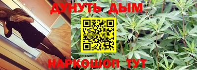 круглые Кингисепп