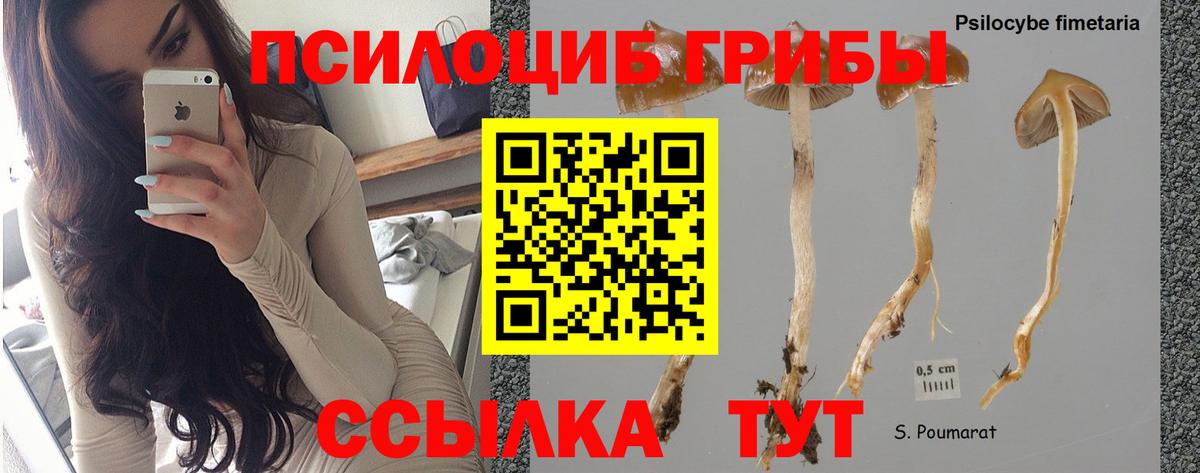 Галлюциногенные грибы мухоморы  Вход с VPN  Когалым  Галлюциногенные грибы GOLDEN TEACHER 